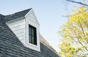 Roof Lights